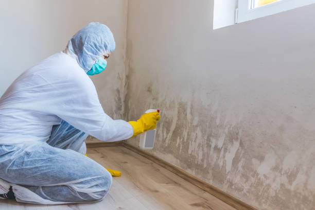 Commercial Mold Remediation assessment for commercial property in Cave Creek